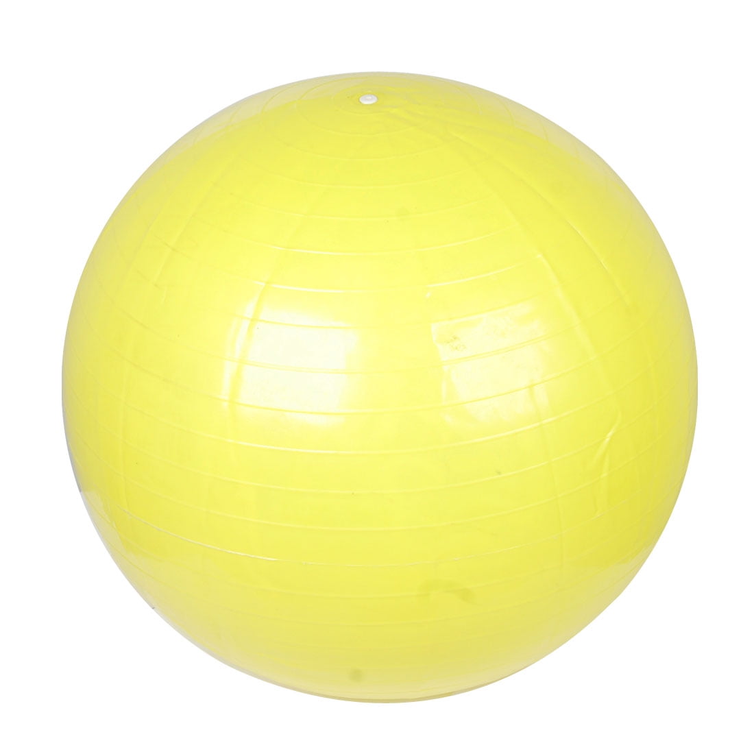 therapy ball plus the roll model