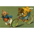 thumbnail image 2 of Bear On A Bicycle By G H Thompson Poster Print By Mary Evans Picture Librarypeter & Dawn Cope Collection, 2 of 4