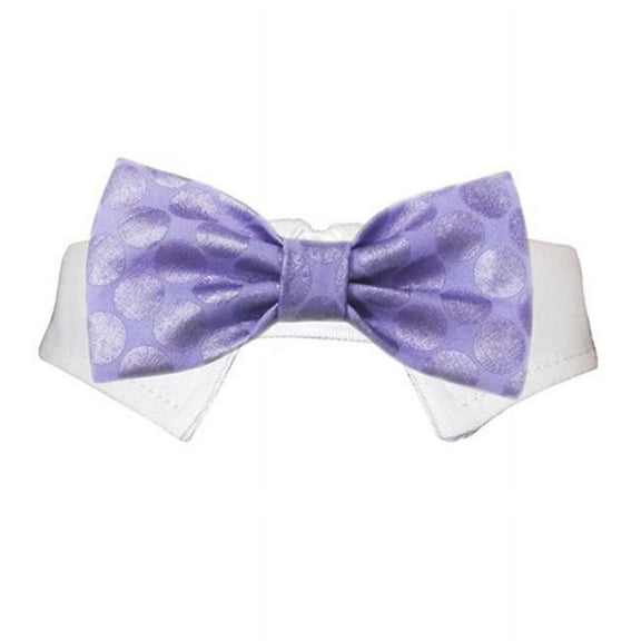 Dylan Bow Tie - Purple - 2XL
