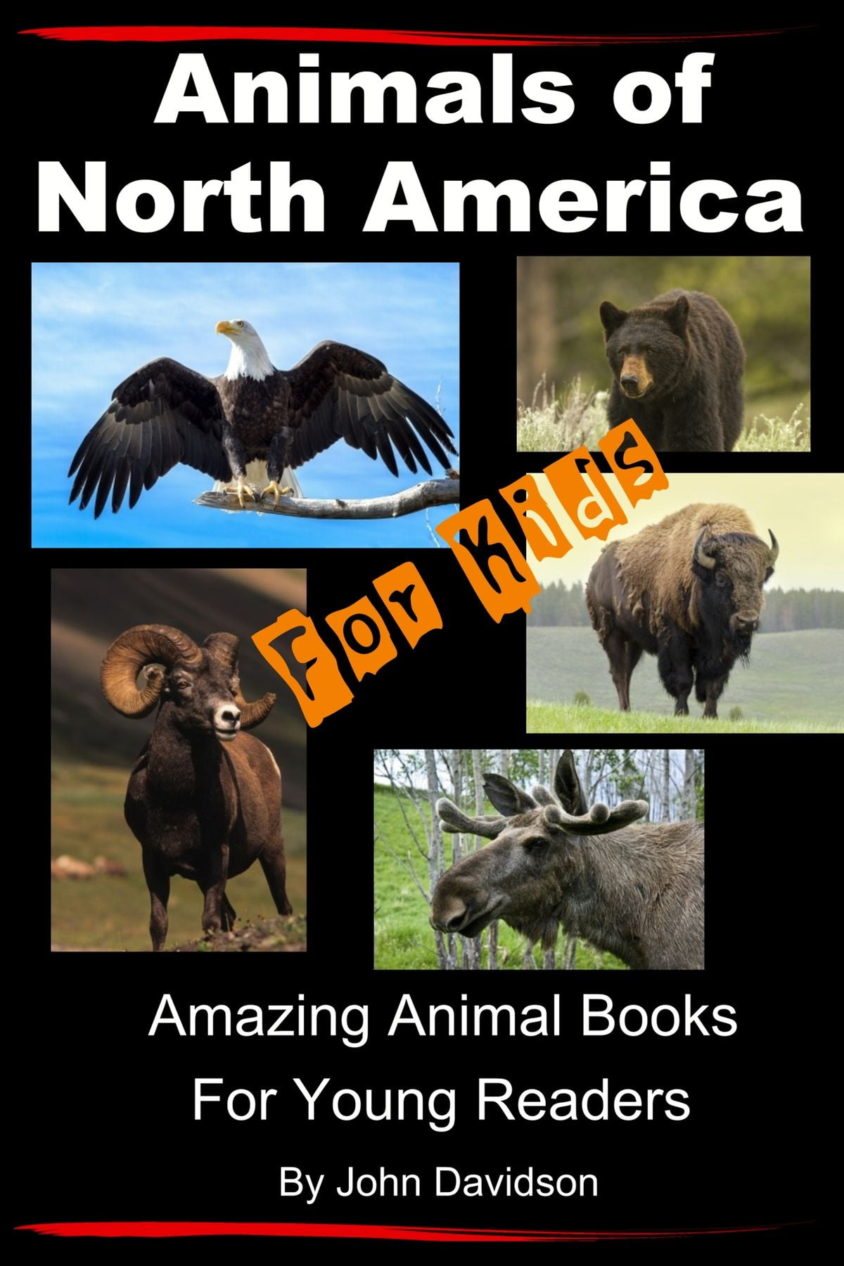 Animals of North America For Kids: Amazing Animal Books for Young Readers - eBook