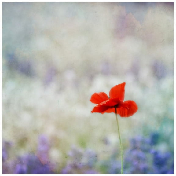 Marmont Hill Mh-Robdic-50-C-24 24" X 24" "Dream On 2" Giclee Art Print On Stretched Canvas