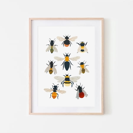 British Bee Species Insect Identification Wall Decor Unframed Paper Print