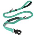 thumbnail image 1 of Correa táctica para perros Joytale, resistente, absorbe los golpes, color verde azulado, 1 of 7