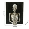 thumbnail image 3 of IMossad Framed 3D Skeleton Torso Holding Candle, Skull Photo Frame Candle Light, Halloween Resin Wall Decor, 3D Skeleton Picture Frame with Candle Light, 3 of 9