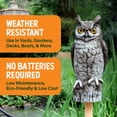thumbnail image 6 of Dalen Fake Owl Decoy to Scare Birds Away from Gardens, Rooftops, and Patios - Scarecrow Provides Chemical-Free Pest Control - Safe and Humane, 16" Great Horned Owl, 6 of 7