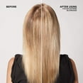 thumbnail image 2 of REDKEN COLOR EXTEND BLONDAGE COLOR-DEPOSITING SHAMPOO, 2 of 2