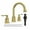 Brushed Gold, variant on AUKTOPT Bathroom Faucet 3 Hole, Centerset 4 Inch Faucet 2 Handle Bathroom Sink Faucet Lead-Free with Pop up Drain, Matte Black