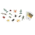 thumbnail image 1 of Figuras de animales Montessori con tarjetas didácticas Materiales Montessori para material didáctico insectos perfke Juguetes De Animales Montessori, 1 of 9