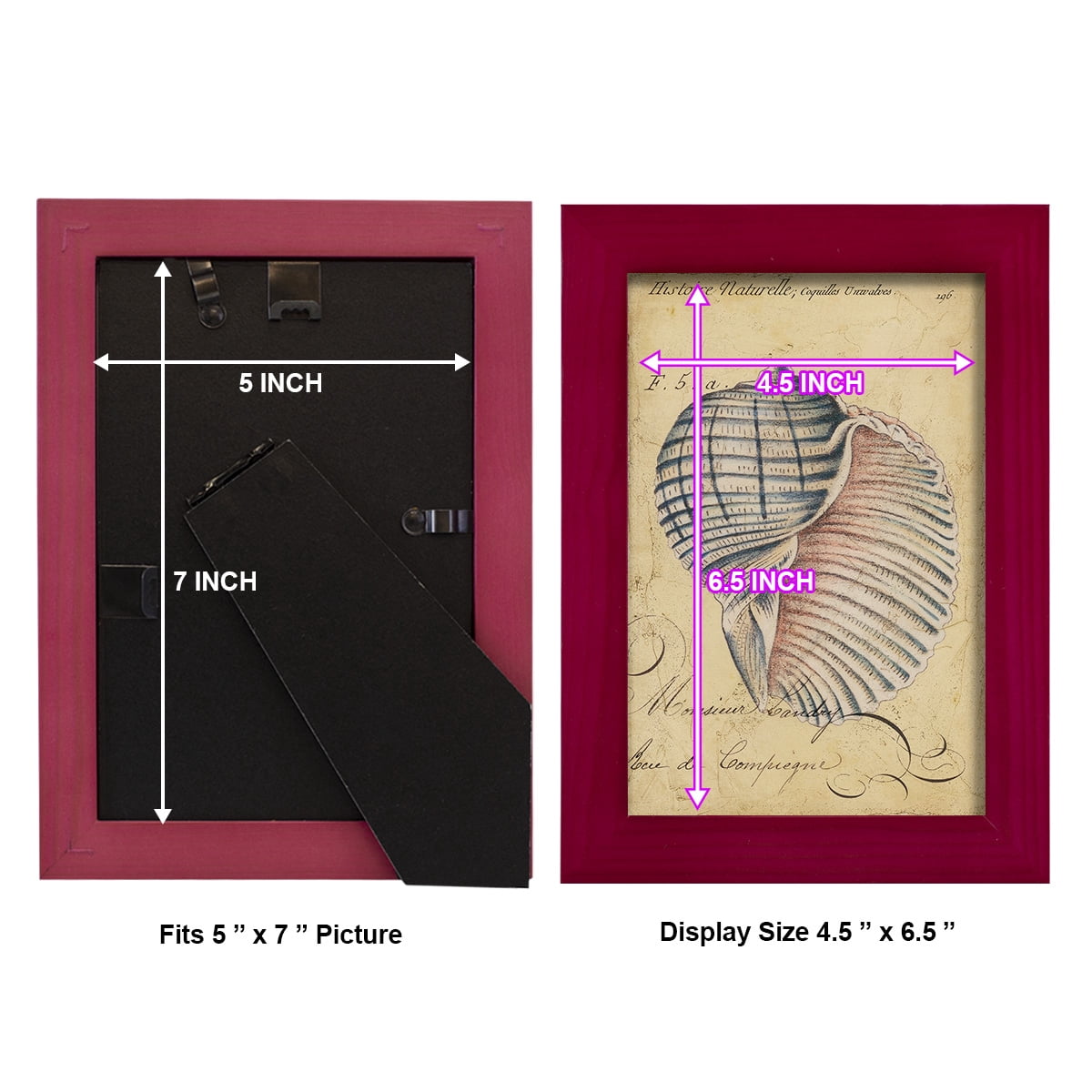 Seashell Ephemera V - Framed Print w/glass - Cherry Red