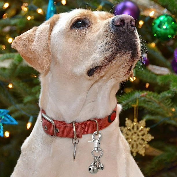 Dog collar with matching cheap keychain
