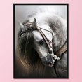 thumbnail image 1 of Cuadros Decorativos Kits de punto de cruz 11CT Estampado DIY Caballo Mosaico Artesanía de algodón ecológico Ndcxsfigh  Nuevos Originales, 1 of 8