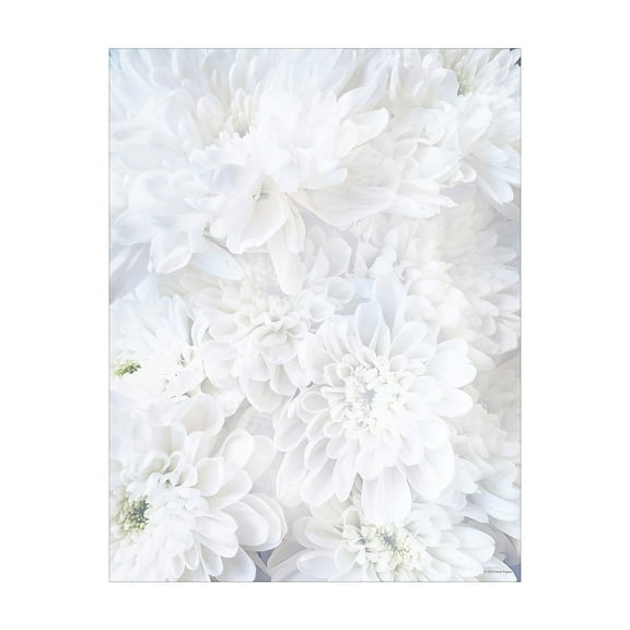 Great Papers! White Soft Petals Stationery Letterhead, 8.5" x 11", 80 sheets, Inkjet and Laser Printer Compatible
