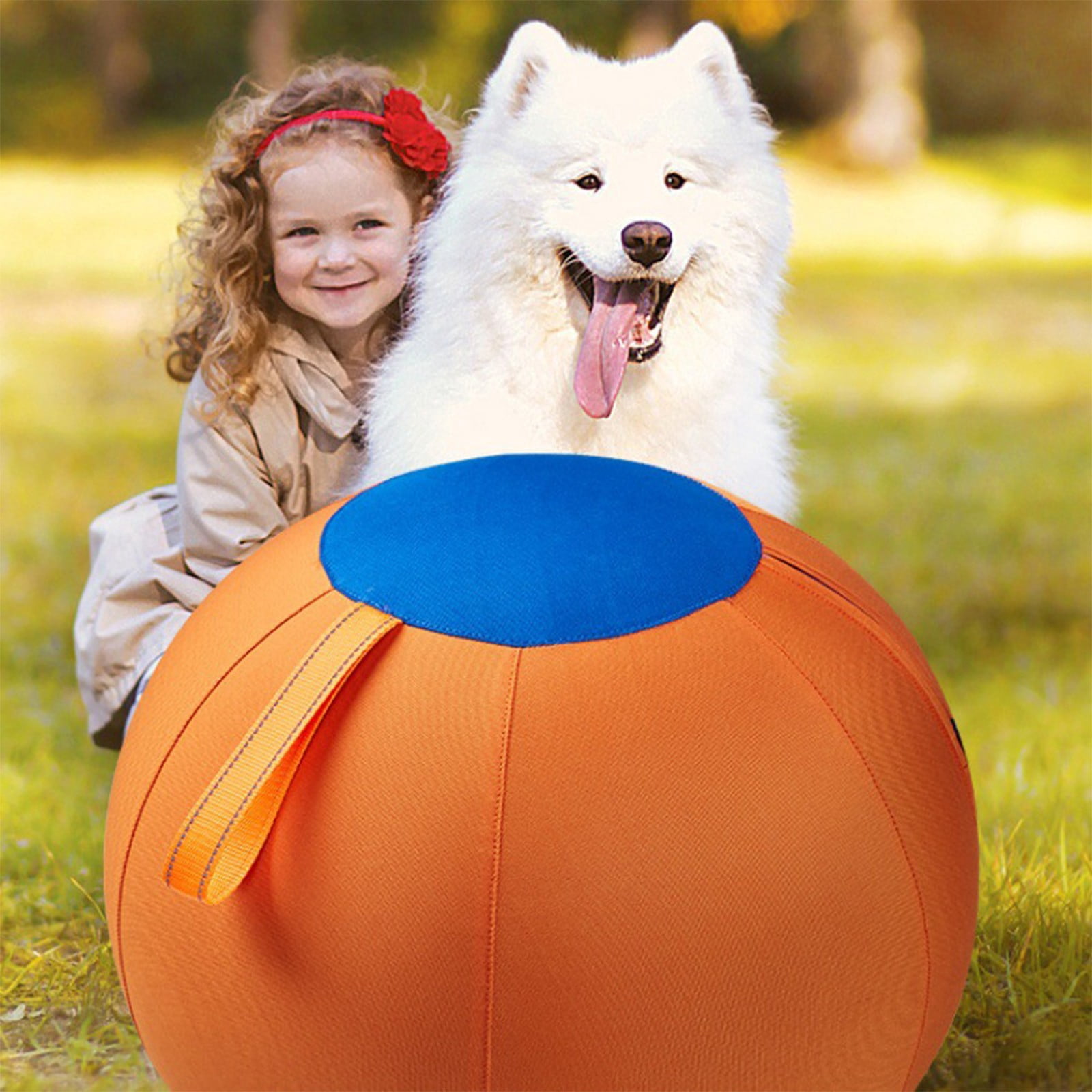 Herding Ball, Herding Ball for Dogs, Extra-Large Enrichment Ball — Tear-Resistant, Includes Protective Cover and Air Pump, Available in Three Sizes to Suit All Dogs,Blue & Orange,9.8"