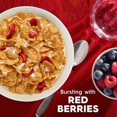 thumbnail image 6 of Special K Breakfast Cereal, Red Berries 38 Oz., 2 Pk., 6 of 10