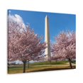 thumbnail image 5 of Mall Washington Blossom Festival Nature Wilderness Photography Canvas Wall Art for Home Decor Ready-to-Hang, 5 of 18
