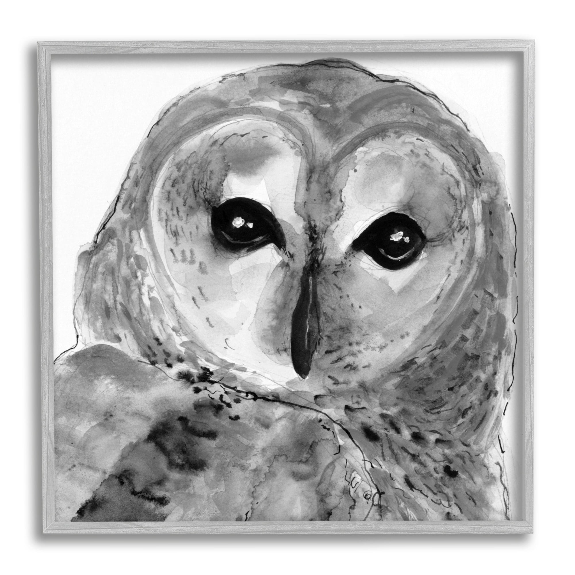 Stupell Industries Close Up Barn Owl Bird Gazing Ink Watercolor Painting Gray Framed Art Print Wall Art, Design by Patti Mann