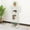 White, variant on Freestanding Book Shelf 4-Tier Bookshelf Cactus Bookcase Storage Organizer Green