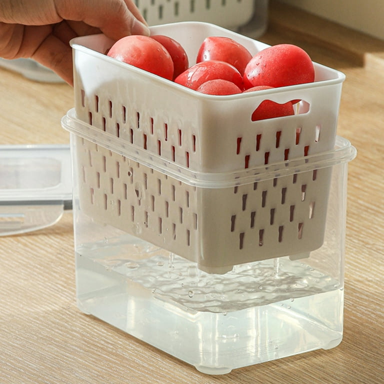 Refrigerator Storage Box, Airtight Container For Fruits, Vegetables And  Eggs In Kitchen