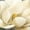Magnolia Blossom On Gray, variant on Elephant Stock Perfect Peonies Wall Art - Horizontal Canvas Wall Art - Living Room Wall Decor - Floral And Botanical Canvas - White And Gray Decor By Nan - 36" x 24"