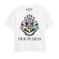 thumbnail image 1 of Harry Potter Girls Hogwarts Houses T-Shirt, 1 of 3