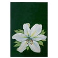 thumbnail image 1 of Betsy Drake GT704 Casablanca Lily Serviette d'Invité - 20 x 20 Po., 1 of 1