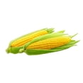 thumbnail image 3 of RSI RSI-MC-BS9-400 Sac de Compost, Vert, 3 of 3