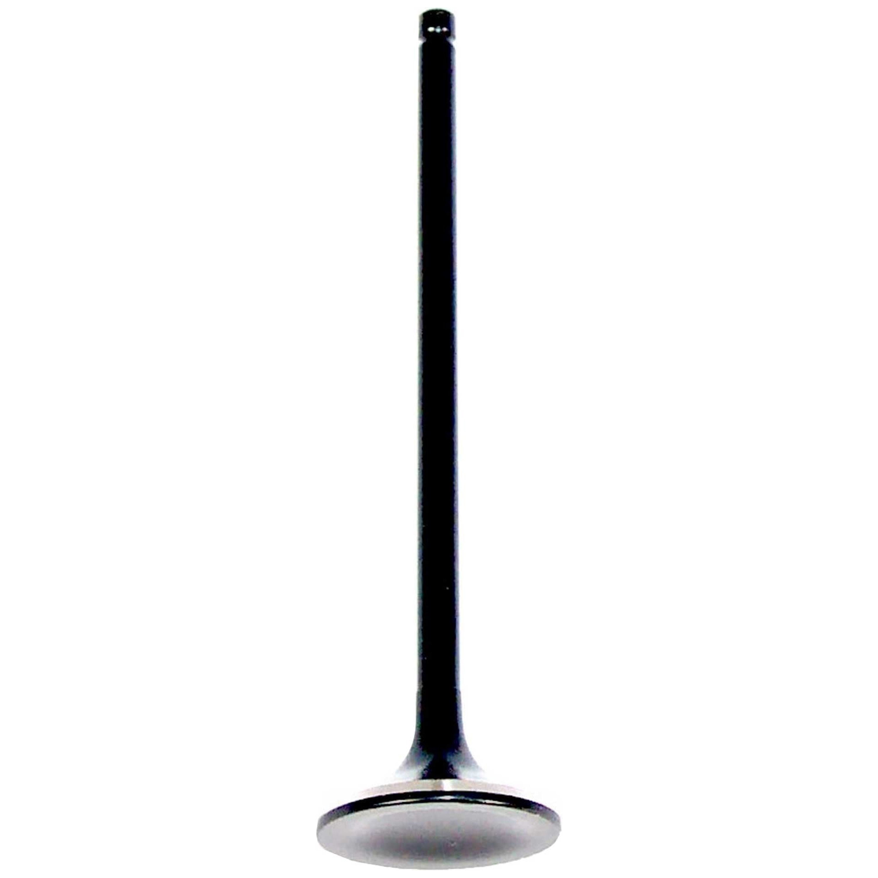 DNJ EV245 Exhaust Valve Fits Cars & Trucks 94-02 Acura Honda Accord CL 2.2L-3.5L L4 V6 SOHC 16v