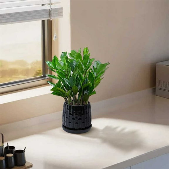 Noble House Chloe Ceramic Planter Set, Glossy Weather-Resistant Flowerpots with Drainage Hole, Set of 2, Black