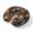 Black Burnt Orange, variant on Neck Pillow Ergonomic Memory Foam U Shaped Pillows,Country Sunflower Bee Soft Portable Neck Head Support Cushion Pillow for Travel Airplane Car Office Use,Polka DotWhite Yellow Floral Wood Plank