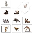 thumbnail image 1 of M6547OCB Zoo Yoga: 10 Assorted Blank All-Occasion Note Cards Featuring Fun and Flexible Zoo Animals Practicing Various Yoga Poses, w/White Envelopes. by, 1 of 7