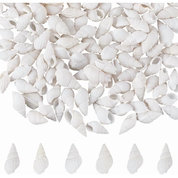 1 Box 350Pcs Small White Seashells Bulk Mini Spiral Shells Tiny Miniature No Hole Beach Ocean Trumpet Natural Conch Shell for Crafts Wedding Party Fish Candle Vase Filler Home Decoration White DIY