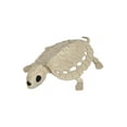 thumbnail image 2 of Morris Costumes SEW80664 Turtle Skeleton Decoration, 2 of 2