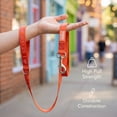 thumbnail image 4 of Oodles I Heart Walks 6 ft Polyester Standard Dog Leash, Red, 4 of 8