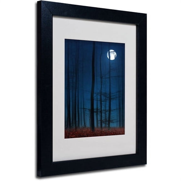 Trademark Fine Art "Blue Note" Canvas Art by Philippe Sainte-Laudy, Black Frame