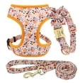 thumbnail image 3 of Pet Artist 3pcs Floral Nylon Dog Harness Vest and Leash and Collar set Custom Personalized for Pets, 3 of 5