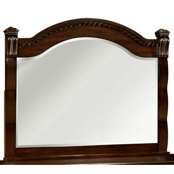 Benzara Burleigh Transitional Style Mirror , Cherry