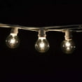 thumbnail image 3 of C9 Commercial String Lights with White Wire and G50 Clear Bulbs, 3 of 6