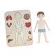 thumbnail image 5 of Rompecabezas de madera del cuerpo humano para niños, rompecabezas de anatomía, herramienta de enseñanza de motricidad fina, juego para aprender las, 5 of 8