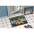 thumbnail image 4 of Carolines Treasures SS8180MAT Briard Doormat 18x27 27"L x 18"W multicolor, 4 of 4