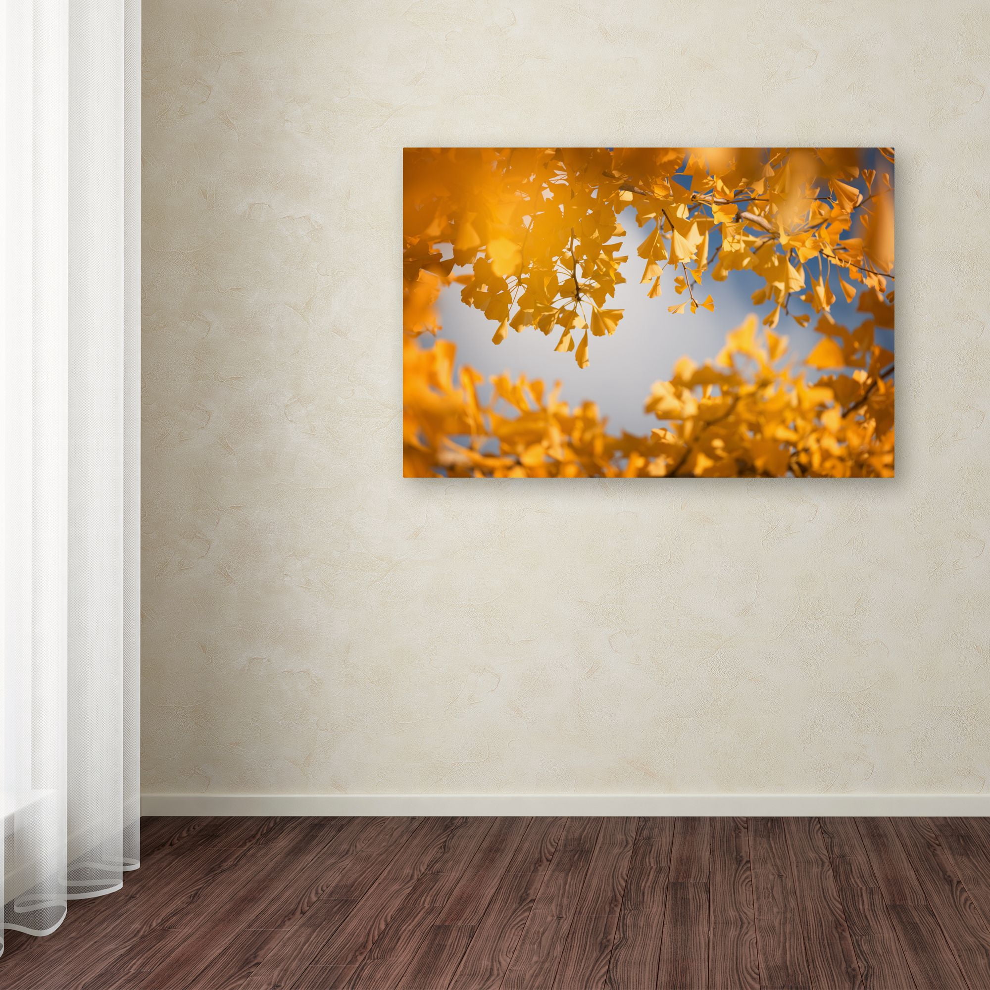 Trademark Fine Art "Ginkgophytes" Canvas Art by Philippe Sainte-Laudy