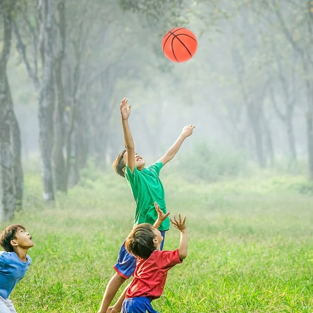 Ballon Sauteur Pour Enfants & Adultes – 90 Cm Avec Pompe Et Poignée – Jouet Équilibre Intérieur/Extérieur – Cadeau Fitness Ludique