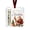 #01-Santa Claus, variant on Acrylic Christmas Money Holder Ornament, Cash Gift Card Holder with Velvet Ribbon for Tree, Mantel, and Holiday Display