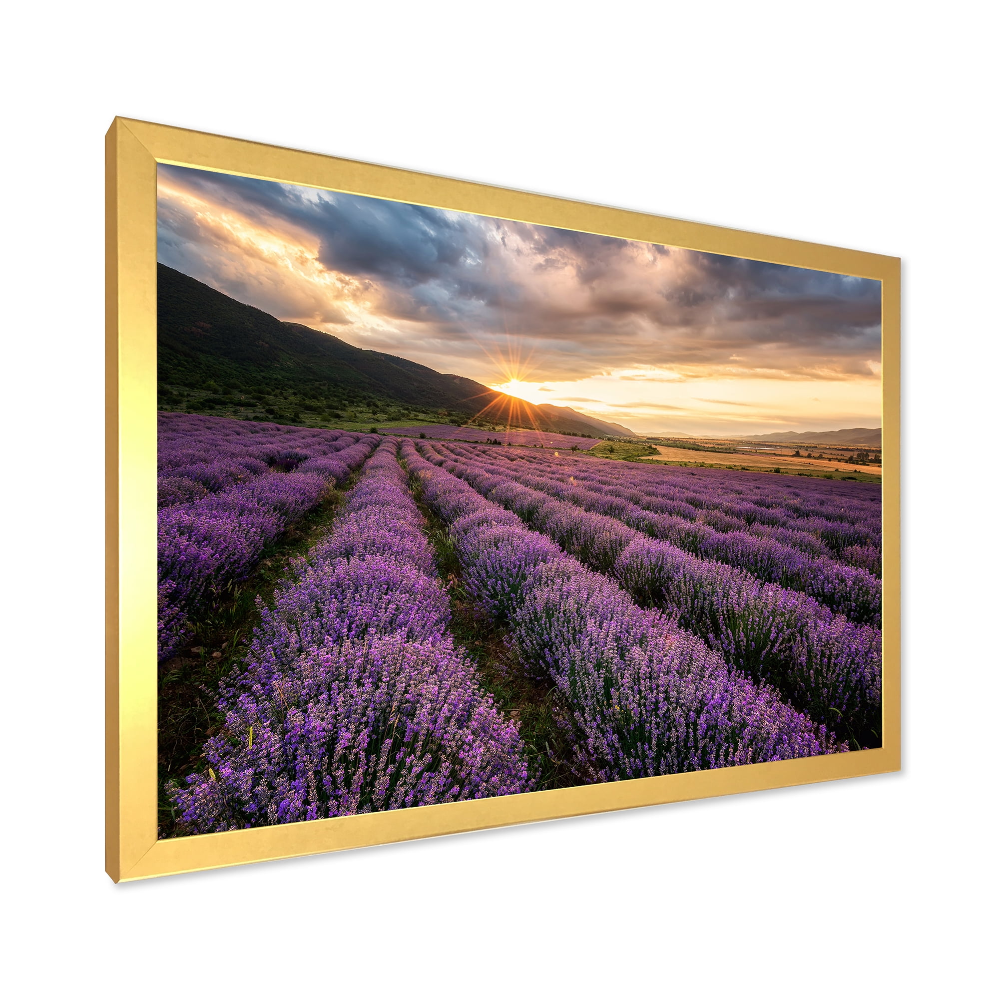 Designart 'Dramatic Clouds and Sunrise Over Lavender Field VI' Farmhouse Framed Art Print