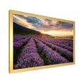 thumbnail image 2 of Designart 'Dramatic Clouds and Sunrise Over Lavender Field VI' Farmhouse Framed Art Print, 2 of 4