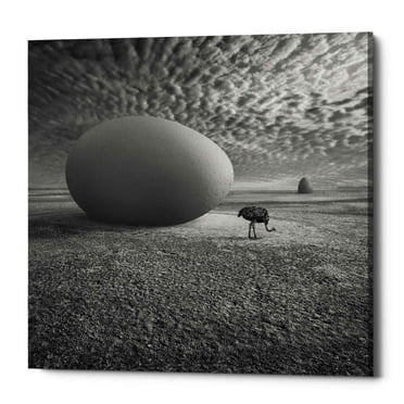 Epic Graffiti  "EggO" by Dariusz Klimczak, Giclee Canvas Wall Art, 12"x12" 18" x 18"