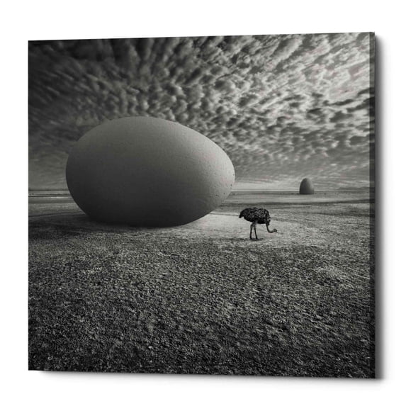 Epic Graffiti 'EggO' by Dariusz Klimczak, Canvas Wall Art, 18"x18"