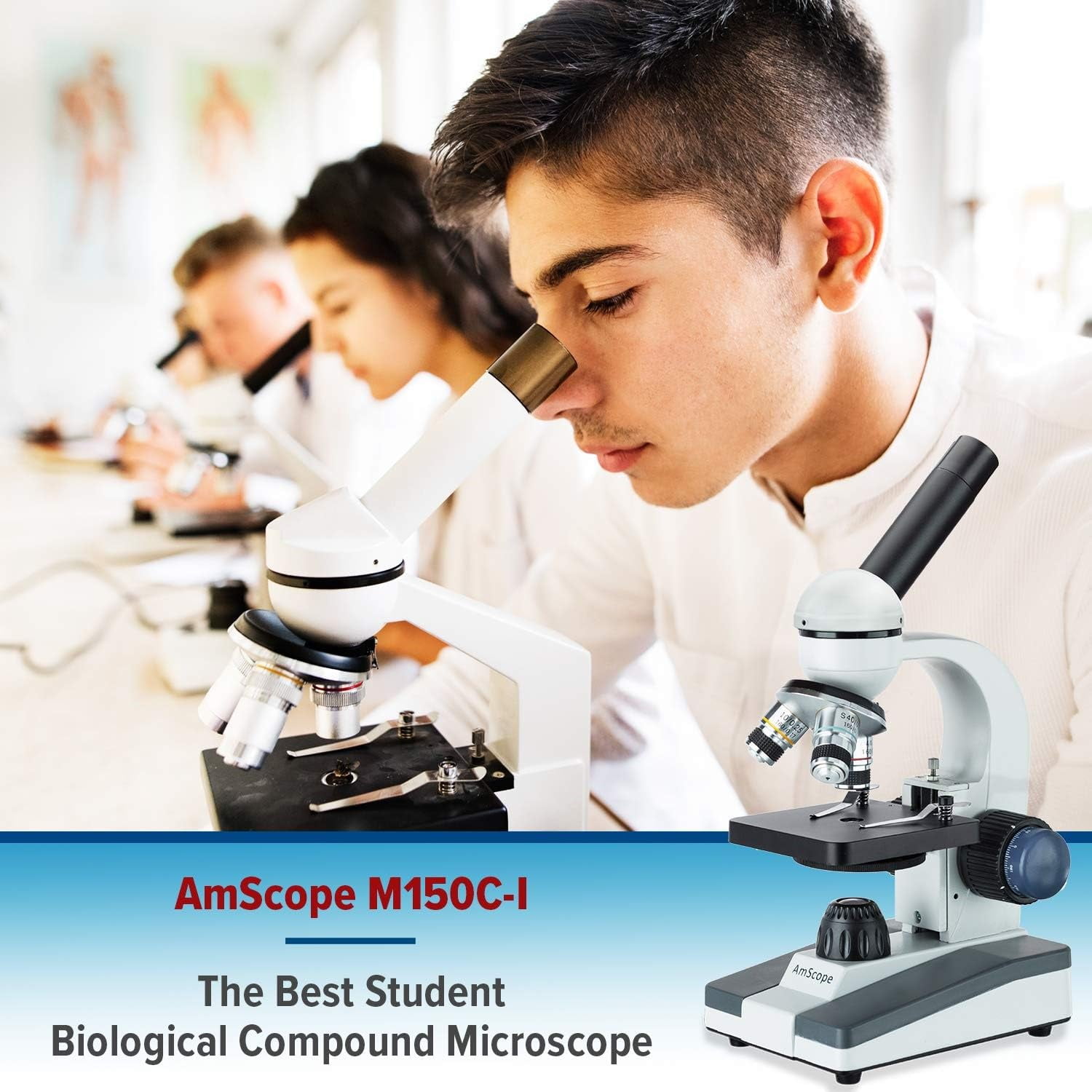 Microscopio Profesional AmScope M150 Compound Microscope - 40X-1000X ...