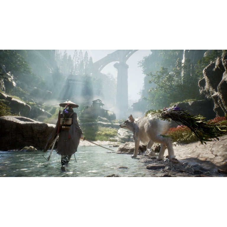 Beast of Reincarnation Deluxe Edition- PlayStation 5 - Walmart.com