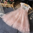 thumbnail image 2 of Franhais Toddler Baby Girls Chiffon Dress Sleeveless Lace Backless A-Line Tulle Gown Formal Dress, 2 of 9