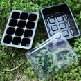 thumbnail image 4 of ODOMY 12 Cells Nursery Pot Planting Seed Tray Kit Plant Germination Box with Lid Garden Grow Box, 4 of 11
